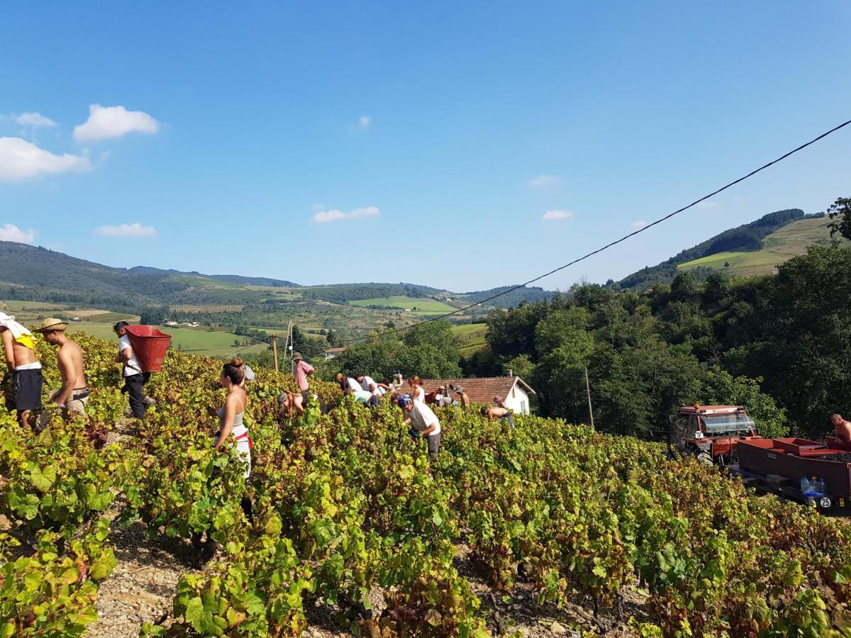 Ancien Cuvage Du Beaujolais - Studio Tout Confort Villa Saint-Didier-sur-Beaujeu Dış mekan fotoğraf